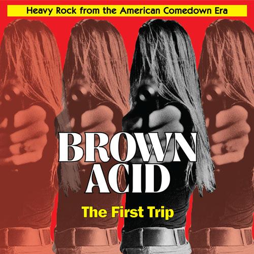 Diverse artister Brown Acid - The First Trip (LP)